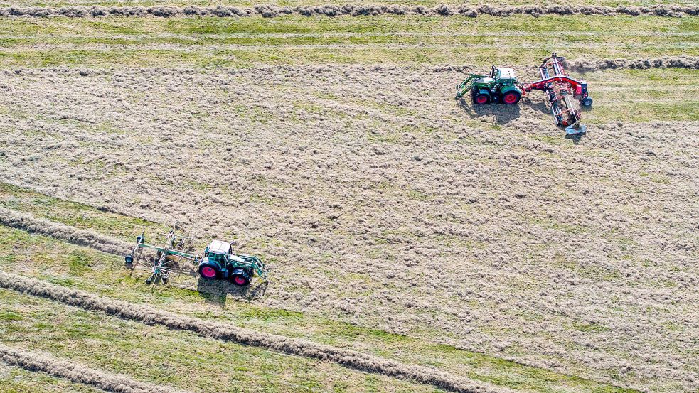 Die Felder werden regelmäßig von Satelliten überwacht: Traktoren ziehen Schwader über ein Feld mit getrocknetem Grünfutter und bereiten das Pressen von Heuballen vor (Luftaufnahme mit einer Drohne). Foto: Büttner/dpa
