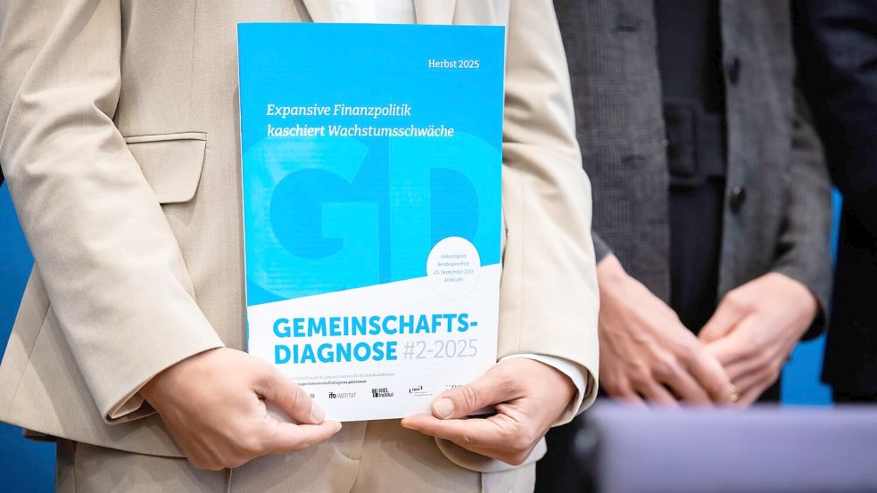 Die sogenannte Gemeinschaftsdiagnose wird von führenden Wirtschaftsinstituten erstellt. Foto: Christoph Soeder/dpa