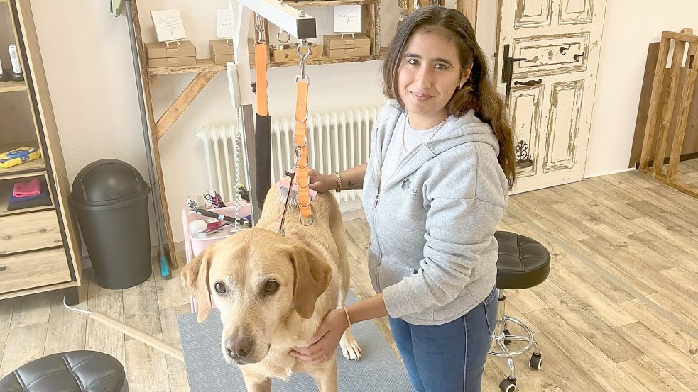 Mit einer pinkfarbenen Bürste geht Alicia Fischer in ihrem Hundesalon ihrem Labrador-Retriever-Mix „Buddy“ ans Fell. Fotos: Gerd Schade