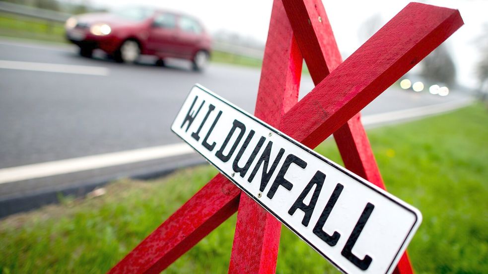 Ein Warnschild an der Stelle eines Wildunfalls in Deutschland. (Symbolbild) Foto: Hauke-Christian Dittrich