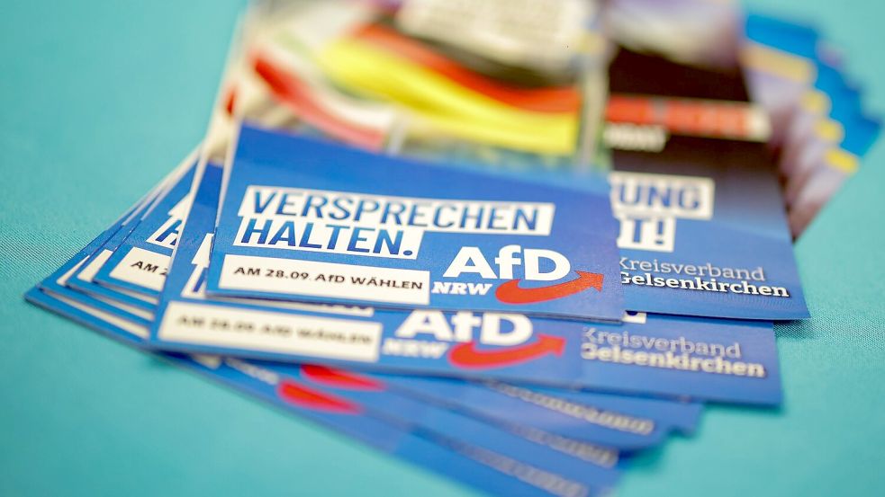 Die AfD brachte keinen ihrer Kandidaten in den Stichwahlen durch. Foto: Christoph Reichwein