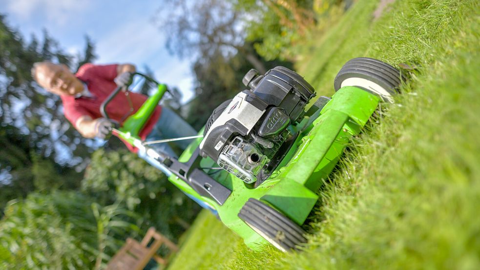 Eine Frage des Mähens: Der Benziner ist vertraut und leistungsstark, steht aber auch in der Kritik. Foto: Klaus Ortgies