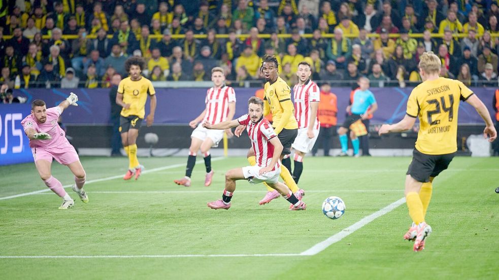 Daniel Svensson brachte den BVB in Führung. Foto: Bernd Thissen