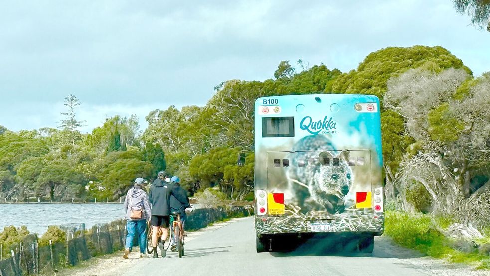 Die meisten Touristen auf Rottnest Island fahren Fahrrad - oder mit dem Quokka-Bus. Foto: Carola Frentzen