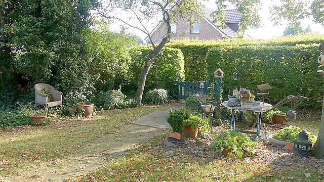 Mit Hecken kann man seinen Garten gestalten. Foto: Karin Berends-Lüürßen