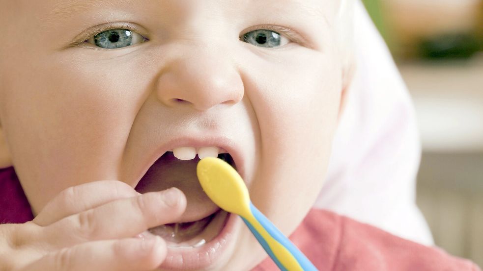 Auch die Zahnbürste ist genormt, denn Plastikborsten sind kein Genuss. Foto: Initiative proDente e.V.