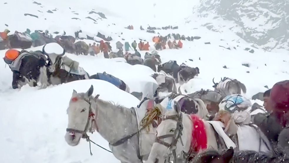 Dorfbewohner steigen mit Ochsen und Pferden den Mount Everest hinauf, um Hunderte von Wanderern zu erreichen, die der Schnee eingeschlossen hat. (Foto vom 4. Oktober 2025.) Foto: Lingsuiye/Xinhua/AP/dpa