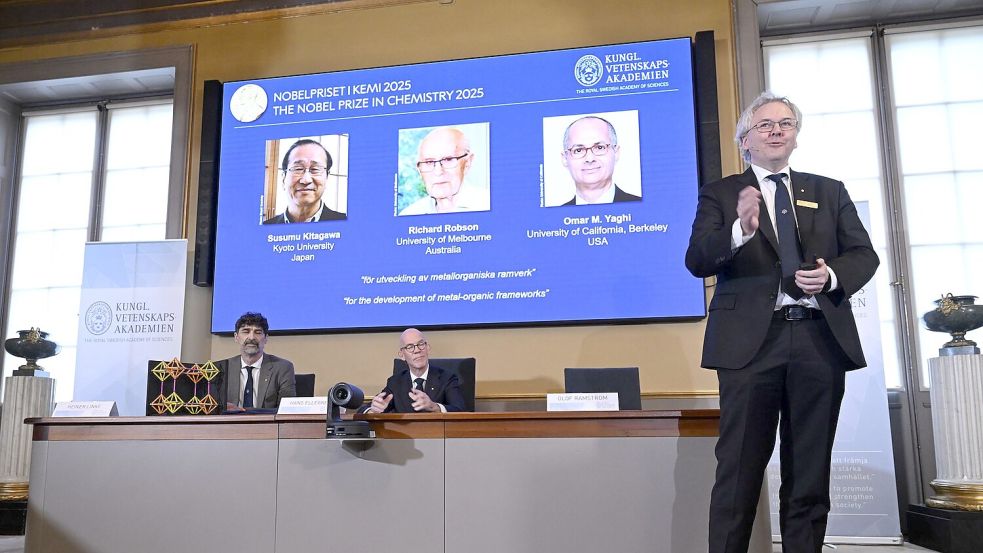 Mit ihrer Forscher legten die Chemiker die Basis für viele mögliche Problemlösungen. Foto: Fredrik Sandberg/TT News Agency/