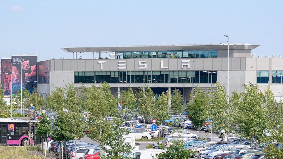 Das abgespeckte Model Y für Europa wird in Grünheide bei Berlin gebaut. (Archivbild) Foto: Patrick Pleul