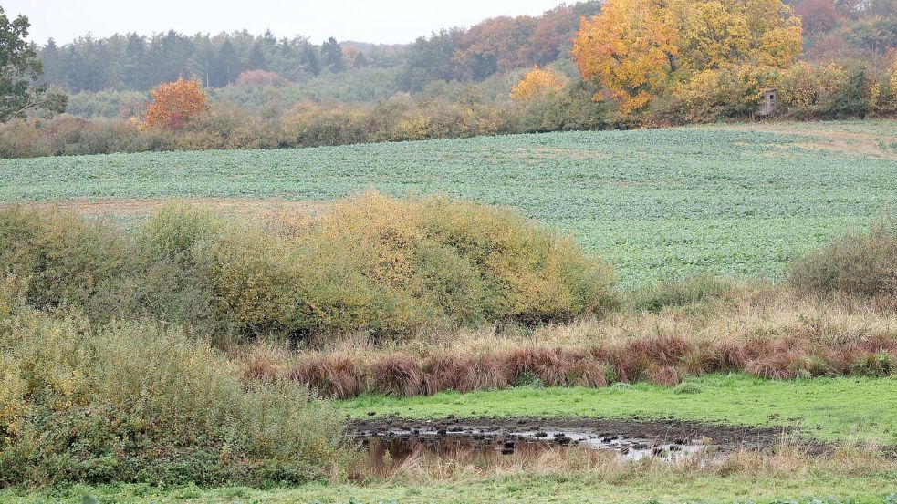 Die Suchmaßnahmen im Umfeld der Stelle, an der in der Nähe Güstrows am Dienstag ein toter Junge gefunden wurde, sind abgeschlossen. Foto: Bernd Wüstneck