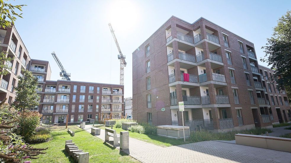 Neubau von Wohnungen in Hamburg: Jetzt soll mehr Tempo in den Bau. (Archivfoto) Foto: Christian Charisius