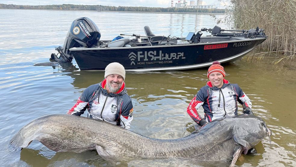 Zwei Angler in Polen haben einen fast drei Meter langen Wels gefangen. (Foto Handout) Foto: -