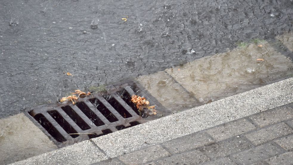 Je besser die Städte und Gemeinden ihre Kanalisation in Schuss halten, desto weniger Ratten leben dort. Foto: Caroline Seidel/dpa