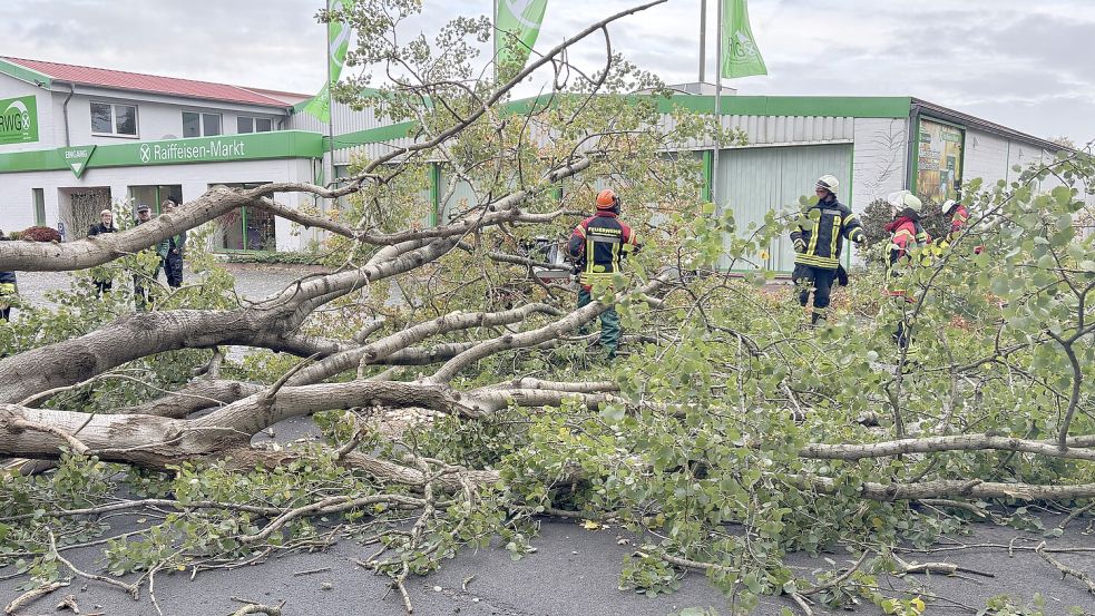 Die Krone eines Baumes ist in Ihrhove auf ein Fahrzeug, das auf dem Parkplatz des Raiffeisen-Marktes abgestellt worden war, gefallen. Der Wagen ist fast nicht zu sehen. Foto: Carsten Ammermann