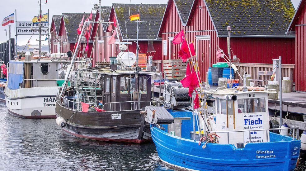 Trotz Sorgen um Dorsch und Hering: Für die deutschen Ostsee-Fischer bleibt fast alles beim Alten. (Symbolbild) Foto: Jens Büttner