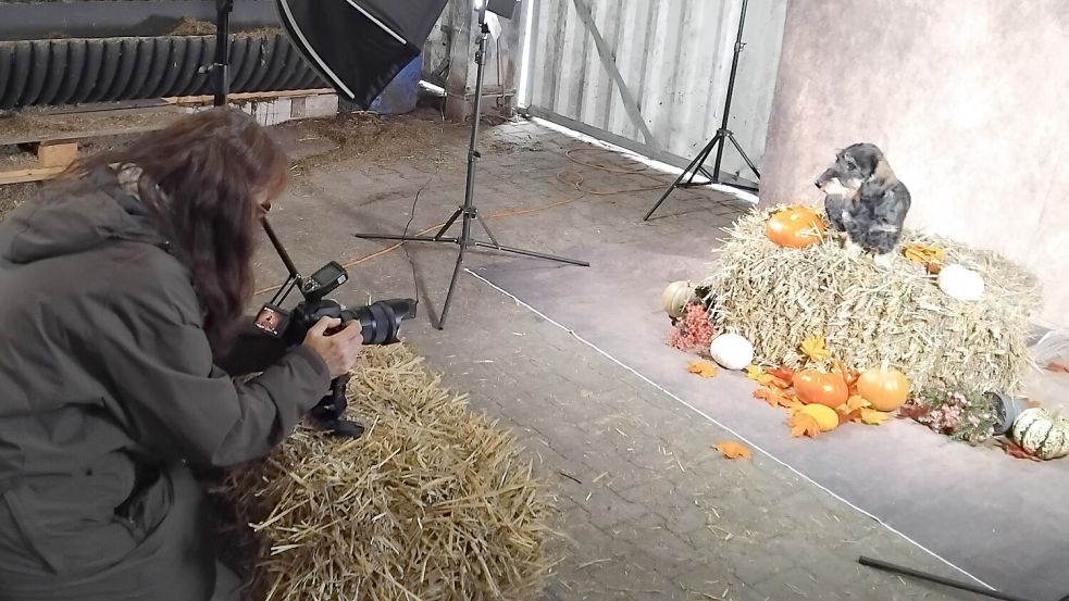 Hobbyfotografin Gaby Boekhoff sorgte auf der Dackelzuchtschau für schöne Erinnerungsfotos.