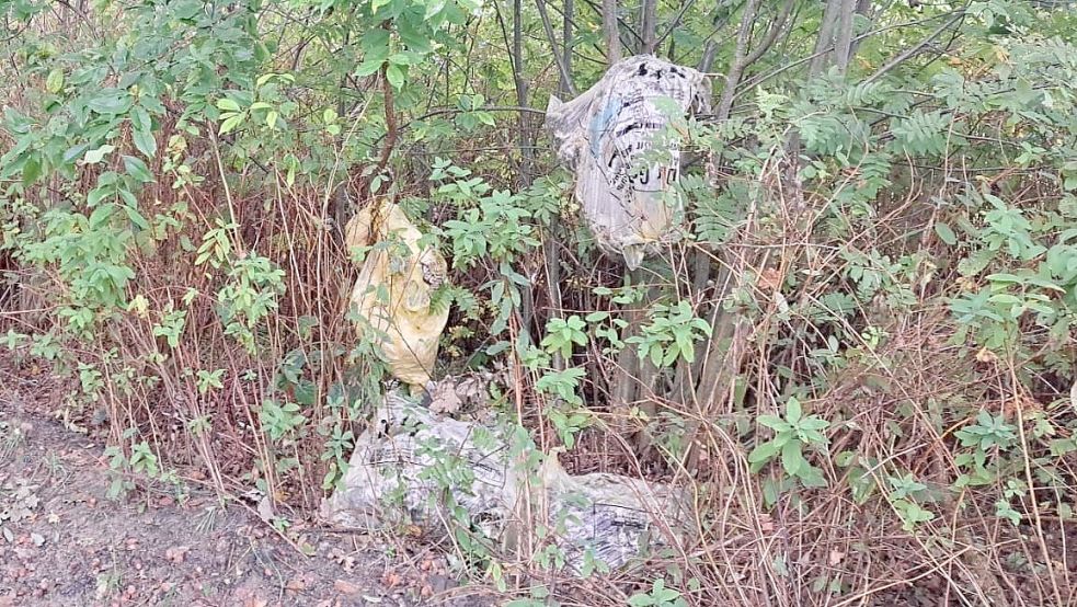 Am Rand des Weidenwegs lagen am 8. Oktober 2025 diese Säcke, in denen Federn zu erkennen sind. Foto: Horst Kruse