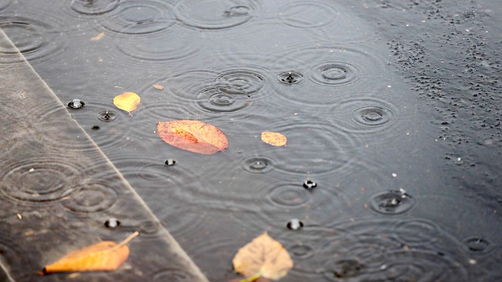 Insbesondere im Norden kam viel Regen herunter. (Archivbild) Foto: Sascha Thelen