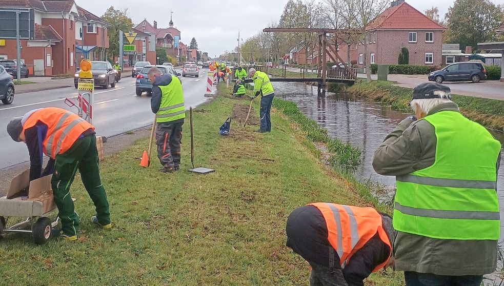Die Pflanzaktion des Fördervereins Tourismus Rhauderfehn e.V. mit Helferinnen und Helfern entlang der Rajenwieke. Foto: Helwig Weber