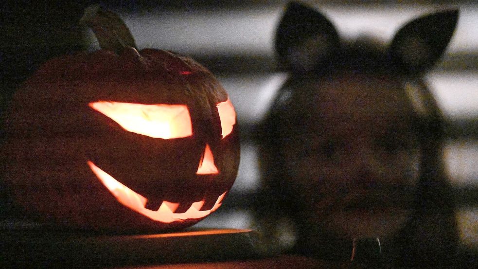 Halloween wird auch in Deutschland gefeiert. Foto: Swen Pförtner