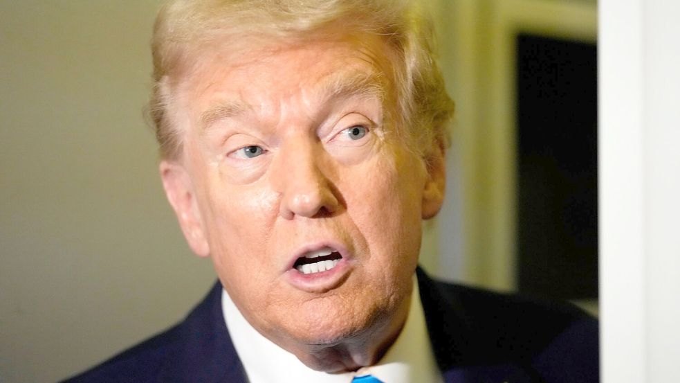 Trump stellt sich hinter das Vorgehen der ICE-Behörde. Foto: Mark Schiefelbein/AP/dpa