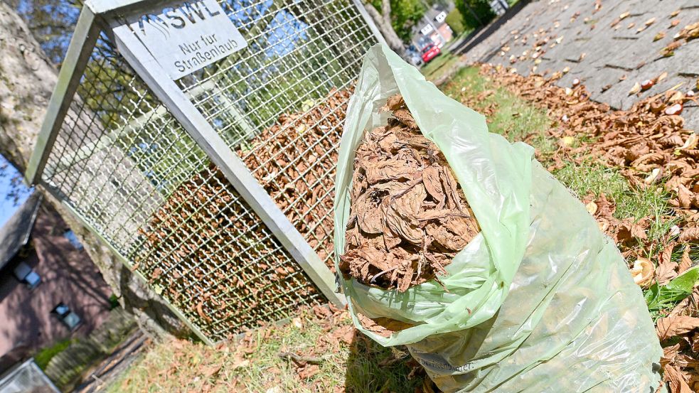 Laubentsorgung in Ostfriesland ist unterschiedlich geregelt. Foto: Klaus Ortgies