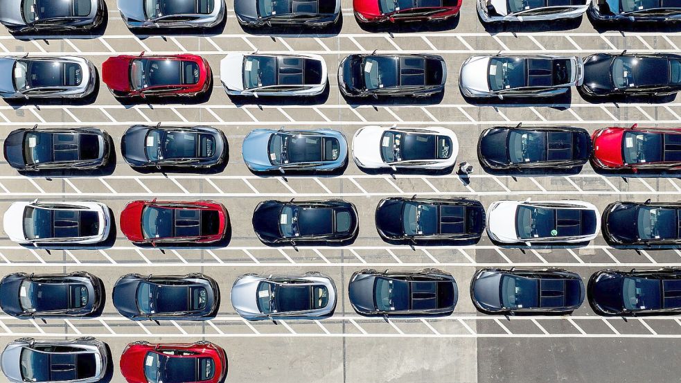 Tesla-Fahrzeuge stehen auf einem Firmengelände in Kalifornien. (Archivbild) Foto: Noah Berger/FR34727 AP/AP/dpa