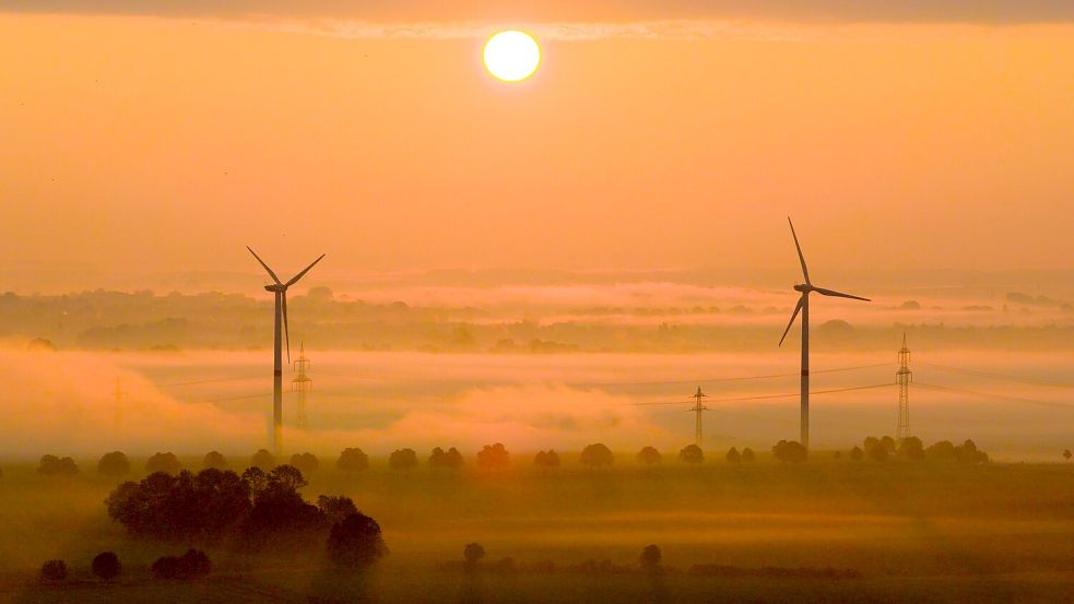 Die OECD fordert mehr Tempo beim Klimaschutz. (Archivbild) Foto: Julian Stratenschulte