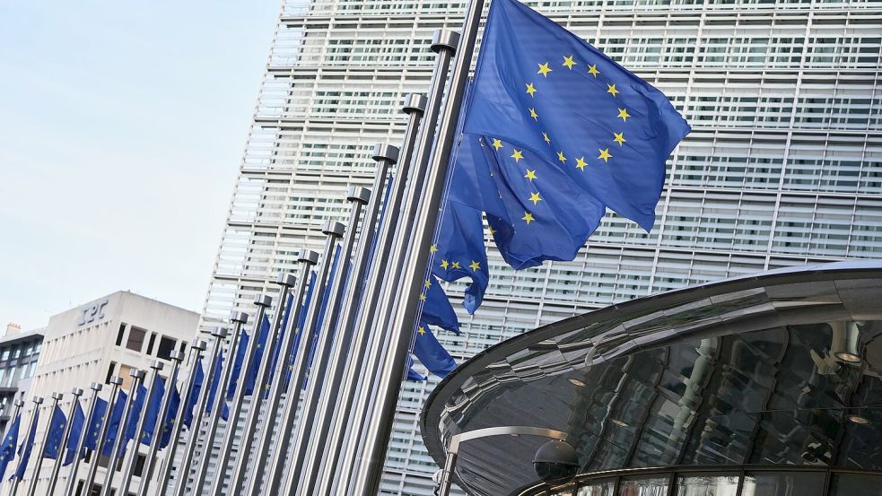 Die EU-Kommission will der Untersuchung Vorrang einräumen (Archivbild) Foto: Virginia Mayo/AP/dpa