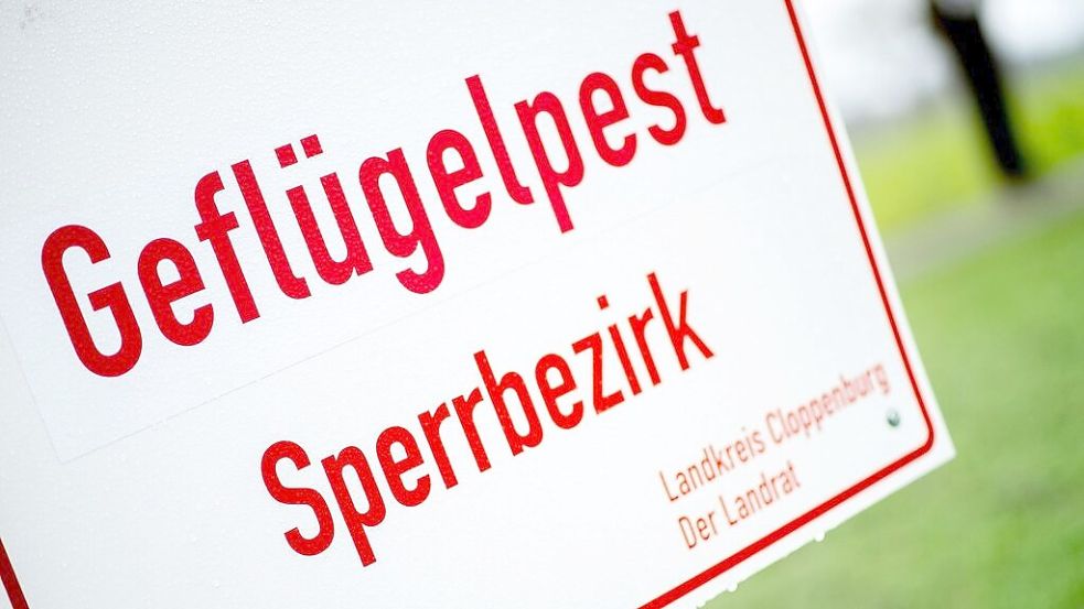 Ein Schild mit der Aufschrift «Geflügelpest Sperrbezirk» steht an einer Straße im Landkreis Cloppenburg. Foto: DPA/Archiv
