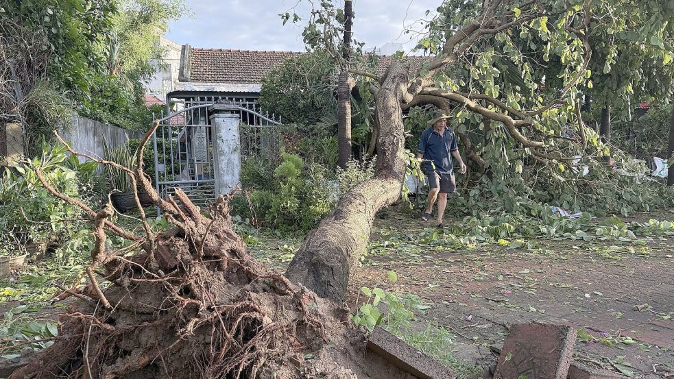 In Vietnam wurden Bäume entwurzelt und Tausende Häuser beschädugt. Foto: Tuong Quan/Vietnam News Agency/A