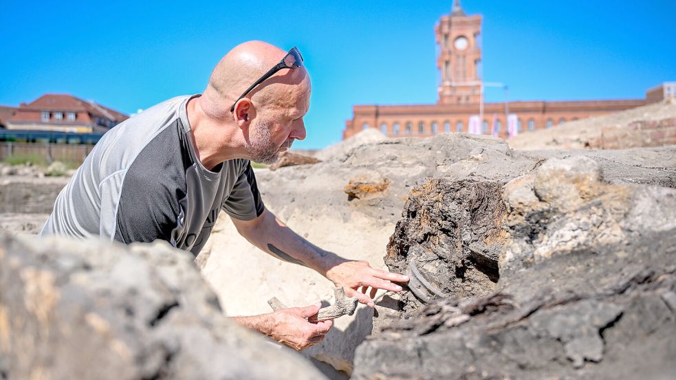Eine mittelalterliche Latrine war unter dem Straßenpflaster verborgen: Die Ausgrabung am Berliner Molkenmarkt fördert viel zutage. Foto: dpa/Britta Pedersen