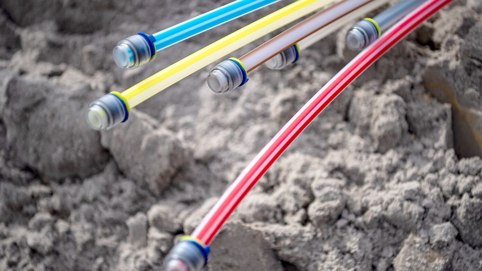 Innerhalb eines Glasfaserkabels sind mehrere Lichtwellenleiter gebündelt. Sie umfassen wiederum Dutzende Glasfasern. Foto: Sina Schuldt/dpa