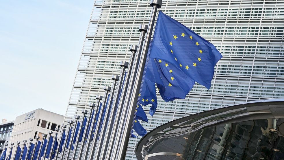 Die neue Einheit soll im Generalsekretariat der EU-Kommission angesiedelt werden, das der Präsidentin Ursula von der Leyen direkt unterstellt ist. (Archivbild) Foto: Virginia Mayo/AP/dpa