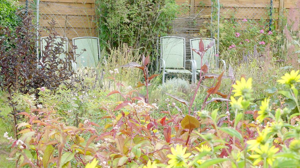 Im Herbst hat der Garten von Karin Berends-Lüürßen seinen besonderen Reiz. Foto: Karin Berends-Lüürßen