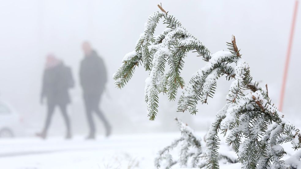 In den Mittelgebirgen wie dem Harz wird am Mittwoch Neuschnee erwartet. Foto: Matthias Bein