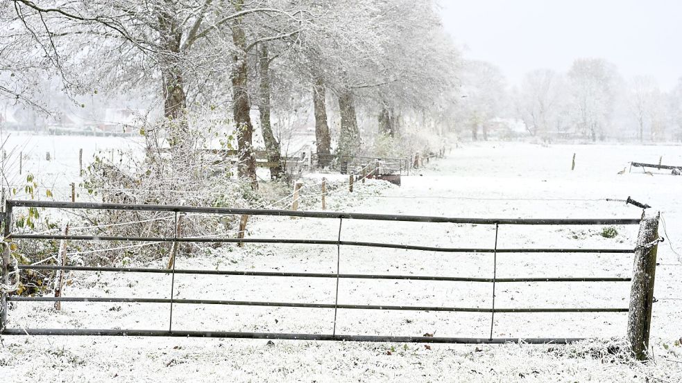 Weiteren Schnee sagt der Deutsche Wetterdienst frühestens am Sonntag vorher. Foto: Lars Penning