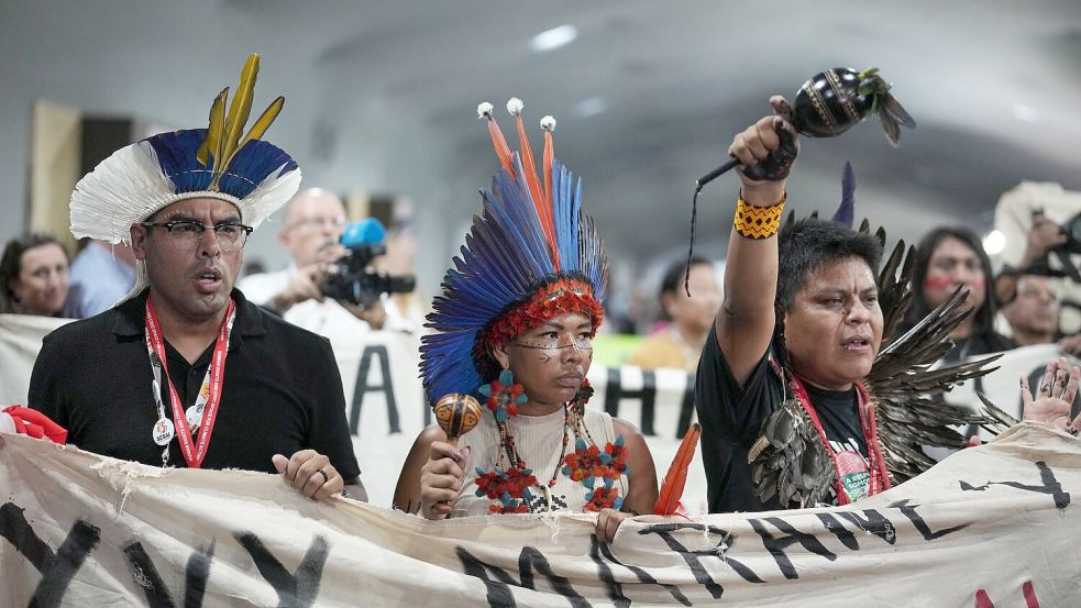 Auch Indigene demonstrierten auf dem Tagungsgelände. Foto: Andre Penner/AP/dpa