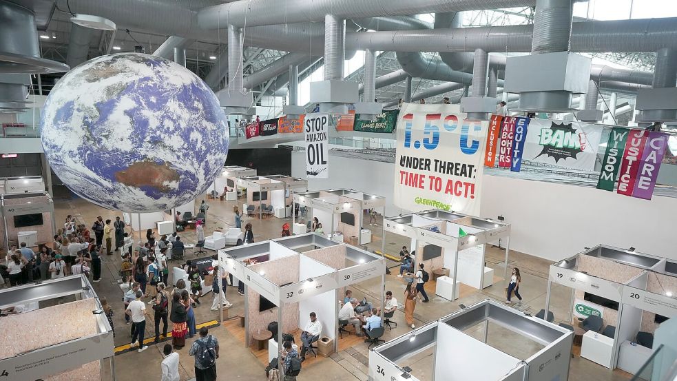 Der Weltklimagipfel in Brasilien bot Raum für Proteste. Foto: Andre Penner/AP/dpa