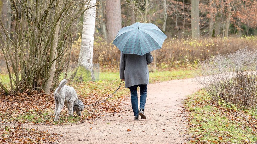 Ein Spaziergang ist ein gutes Mittel gegen Stress. (Symbolbild) Foto: Silas Stein