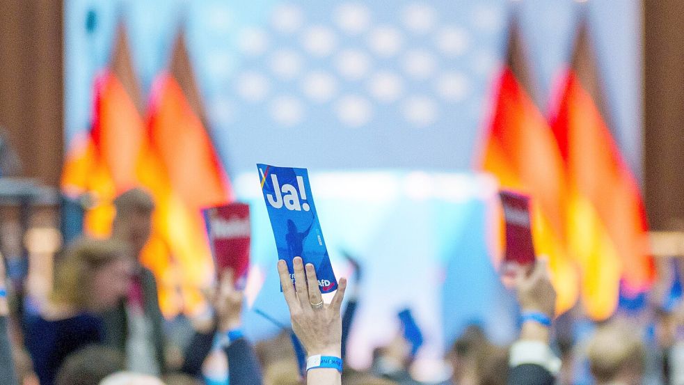 Die AfD hat eine neue Jugendorganisation. Die „Generation Deutschland“ will gemäßigter sein als die aufgelöste „Junge Alternative“. Foto: dpa/Andreas Arnold