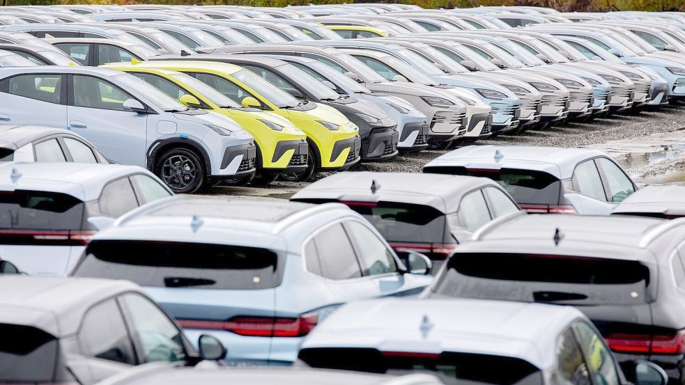 Aus China importierte Elektroautos in Wilhelmshaven. Der Druck der chinesischen Industrie auf ihre deutsche Konkurrenz wächst beständig. (Symbolbild) Foto: Hauke-Christian Dittrich