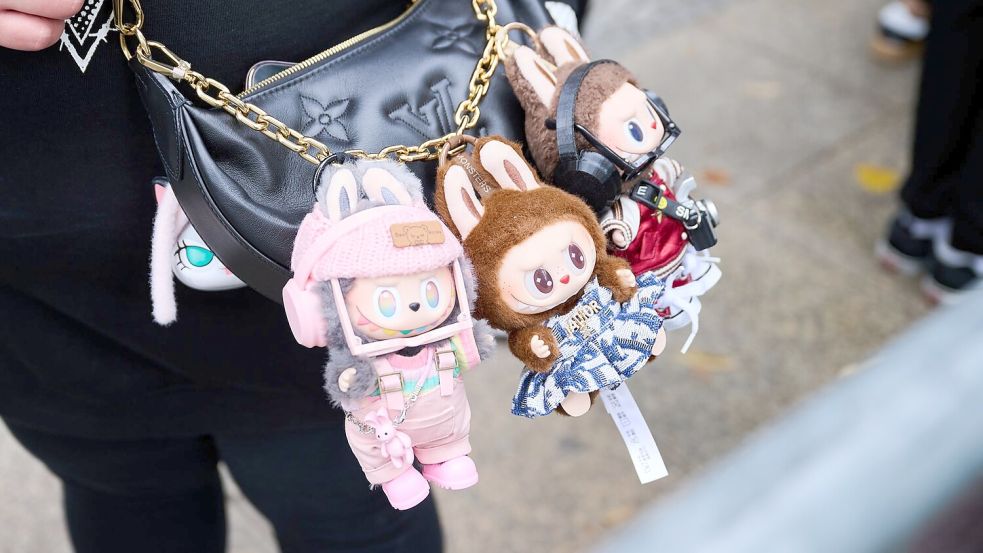 Die kleinen Plüschtier-Figuren Labubu lösten in diesem Jahr einen Hype aus. (Archivbild) Foto: Annette Riedl