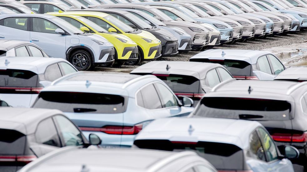 Der Elektroautoabsatz ist im November in Deutschland erneut deutlich gestiegen. (Archivbild) Foto: Hauke-Christian Dittrich