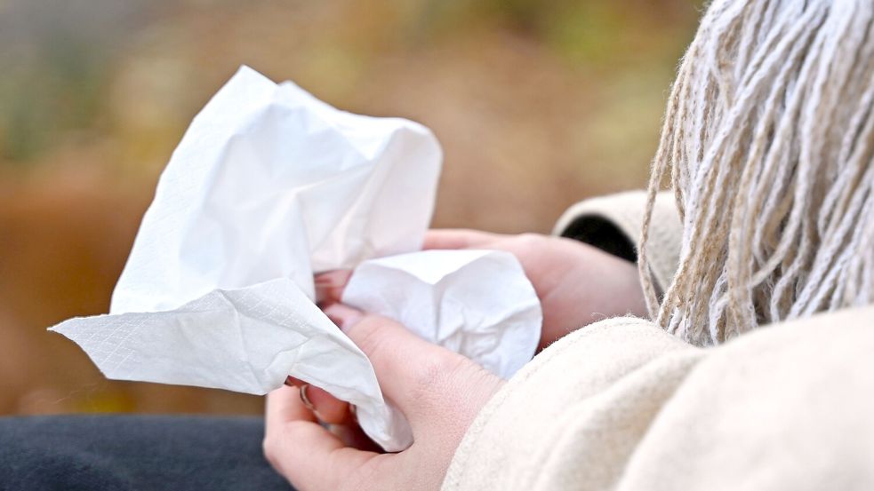 Jetzt brauchen viele Menschen wieder Taschentücher für die laufende Nase. (Symbolbild) Foto: Elisa Schu/dpa