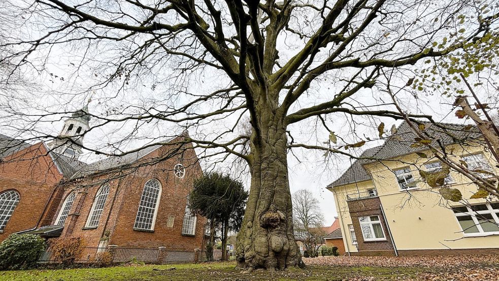 Im Hintergrund ist links die Lutherkirche zu sehen. Foto: Vera Vogt