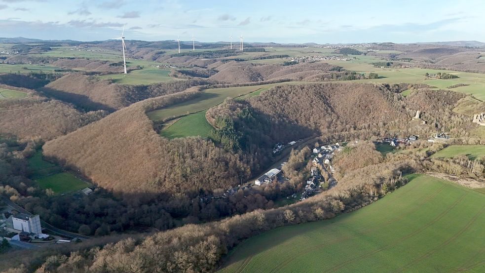 Die Leiche wurde in einem Waldstück bei Monreal entdeckt. (Archivbild) Foto: Sascha Ditscher