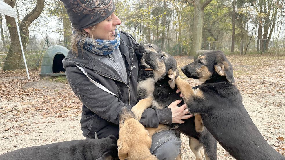 Gesund und munter: Das Welpenrudel mit Tierheim-Leiterin Franka Thun. Foto: Claudia Wimberg