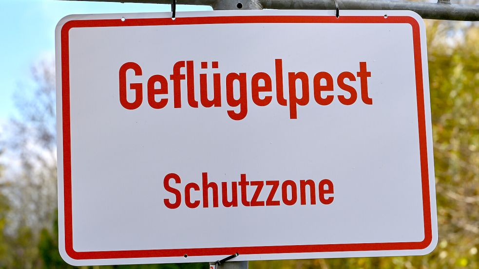 Im Landkreis Leer wurde eine Schutzzone eingerichtet. Foto: Patrick Pleul/dpa