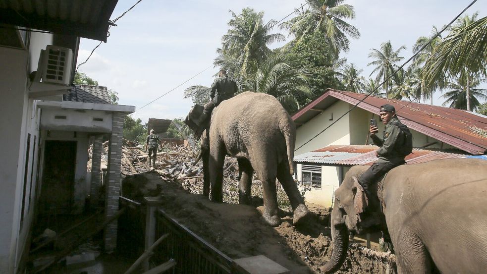 In den betroffenen Gebieten im Norden Sumatras gibt es stellenweise nur für Elefanten ein Durchkommen. Foto: Ahyar Tarmizi/AP/dpa